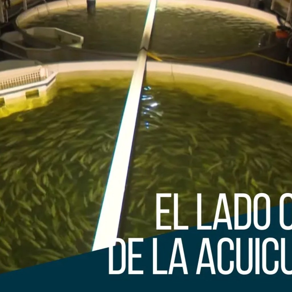 El lado oscuro de la hidráulica El lado oscuro de la hidráulica