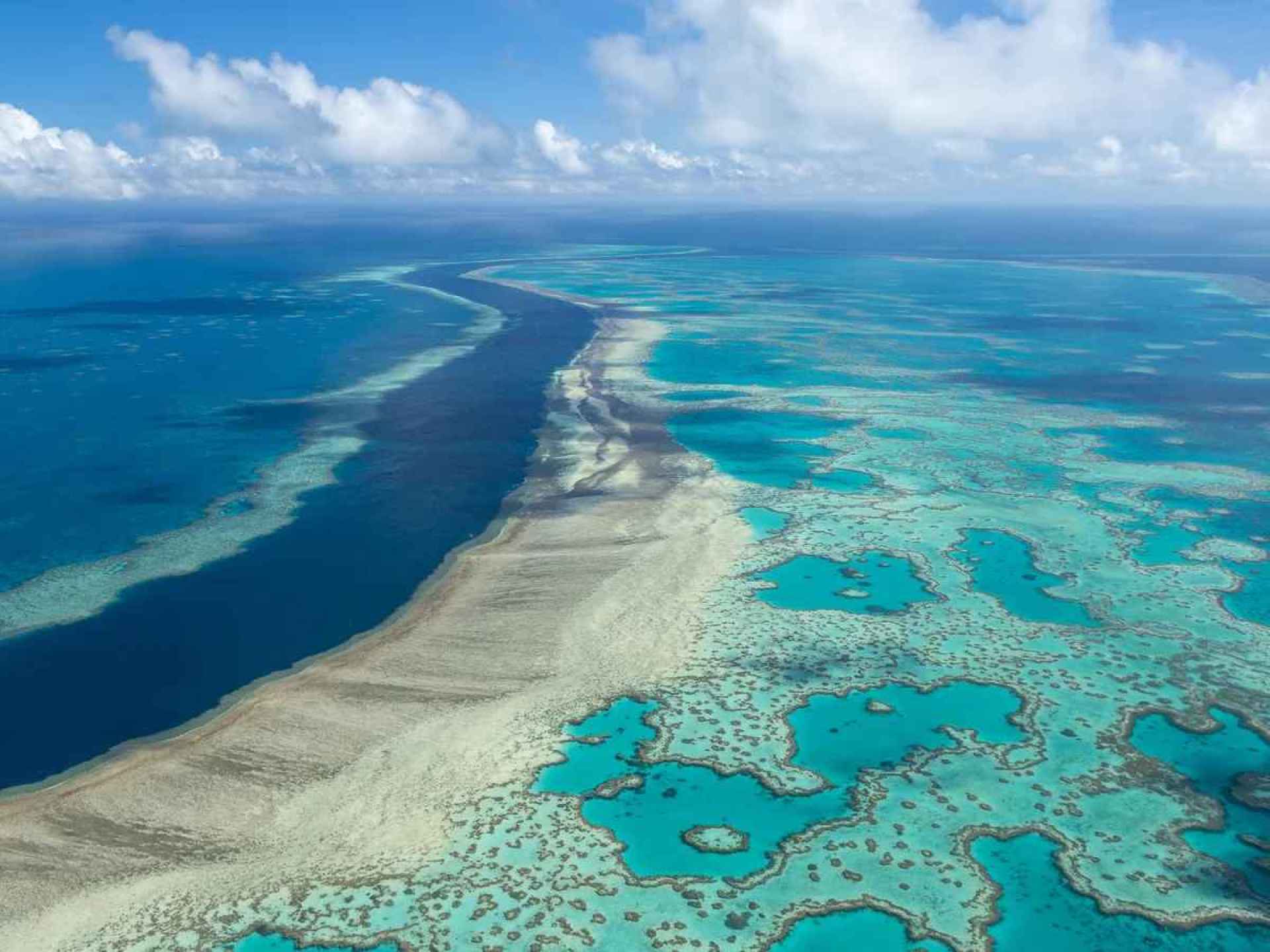 Vibrant underwater scene showcasing the Great Barrier Reef, located off the coast of Cairns, Australia. Vibrant underwater scene showcasing the Great Barrier Reef, located off the coast of Cairns, Australia.