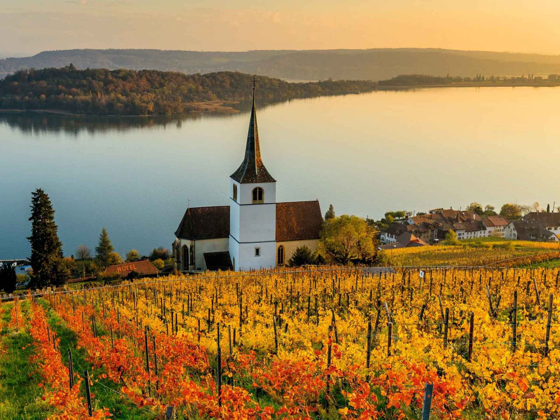 Scenic view of Lake Biel in Biel-Bienne, showcasing clear waters surrounded by lush greenery and serene mountains. Scenic view of Lake Biel in Biel-Bienne, showcasing clear waters surrounded by lush greenery and serene mountains.