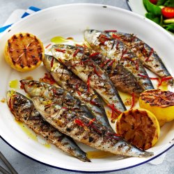Resep Bumbu Sarden: Panduan Lengkap untuk Membumbui Sarden Resep Bumbu Sarden: Panduan Lengkap untuk Membumbui Sarden