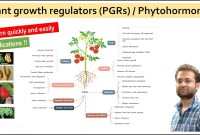 Plant Growth Regulators: Orchestrating Development Plant Growth Regulators: Orchestrating Development