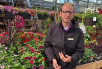 Plant Nursery Jobs Near Me: Find Your Green Career Plant Nursery Jobs Near Me: Find Your Green Career