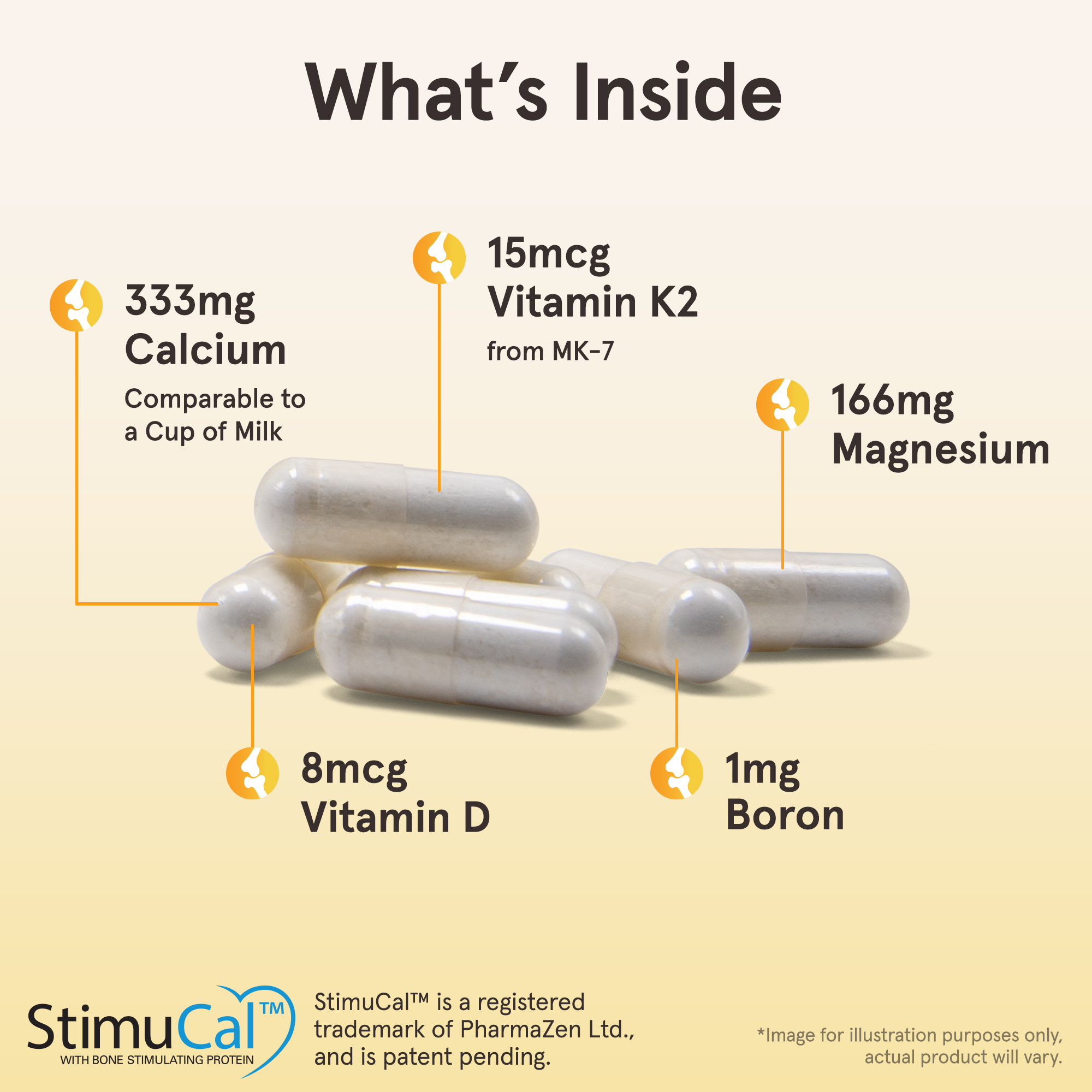 Bone-Up, 120 Capsules