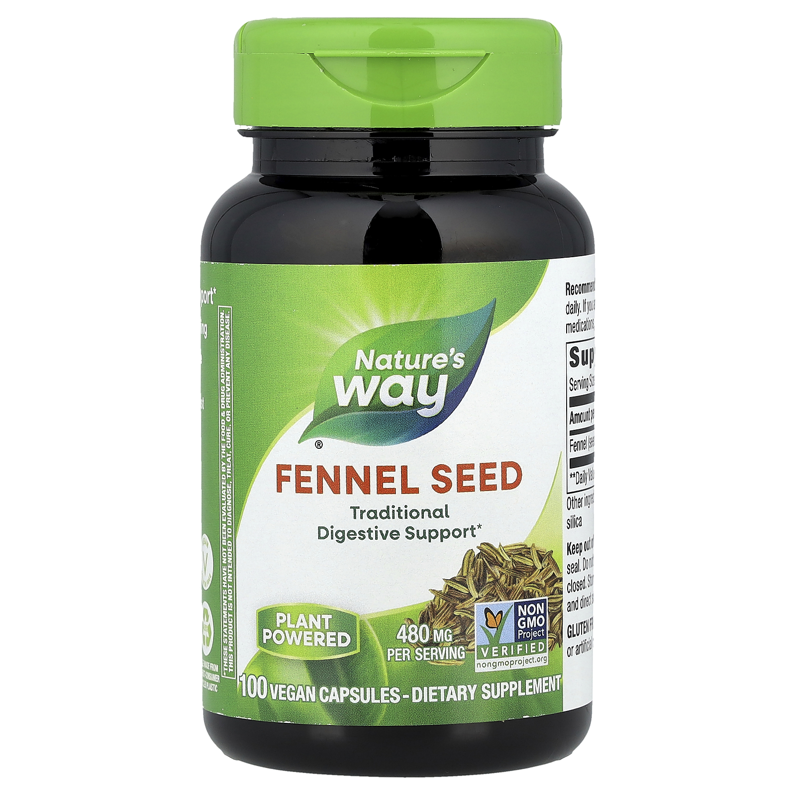 Fennel Seed, 480 mg, 100 Vegan Capsules