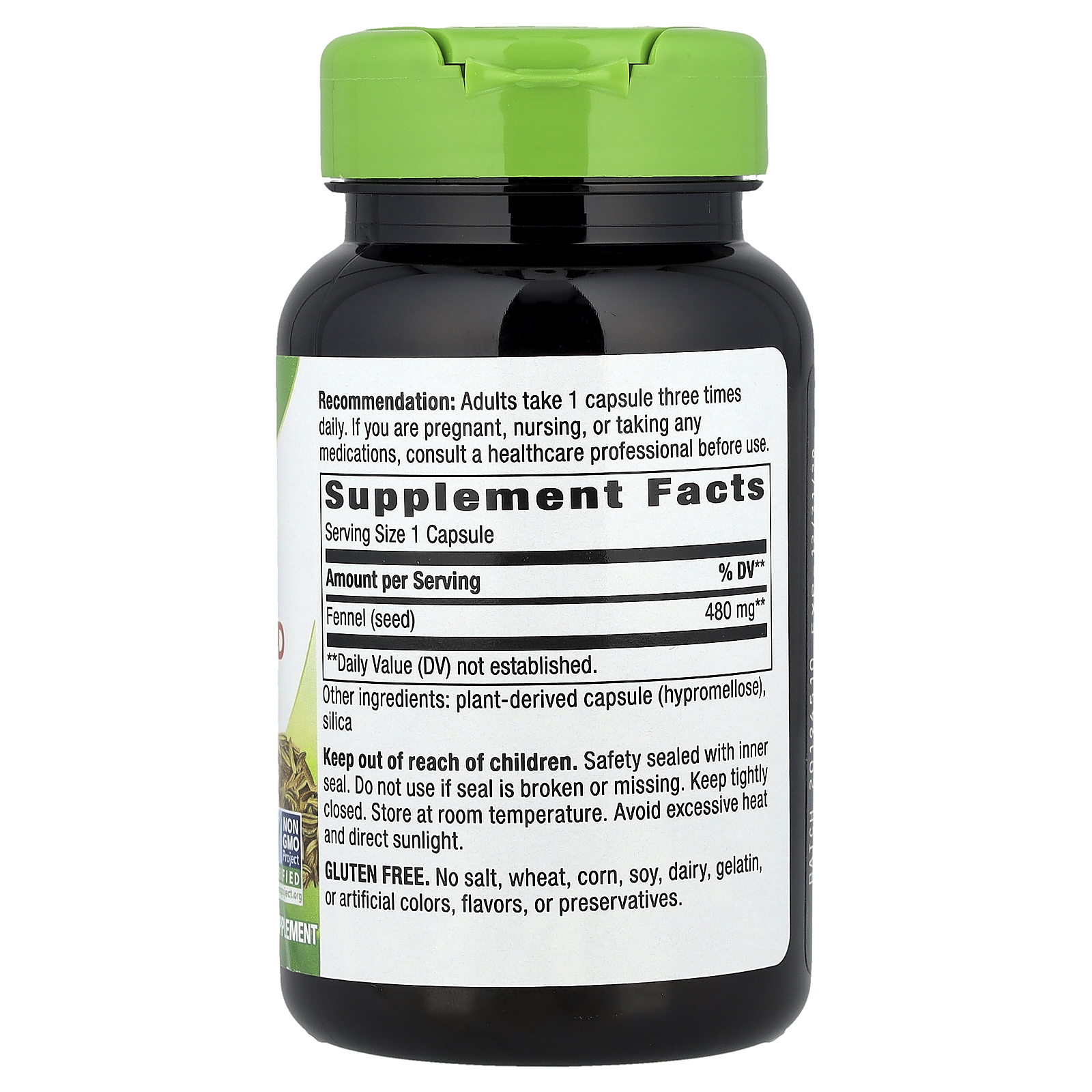 Fennel Seed, 480 mg, 100 Vegan Capsules