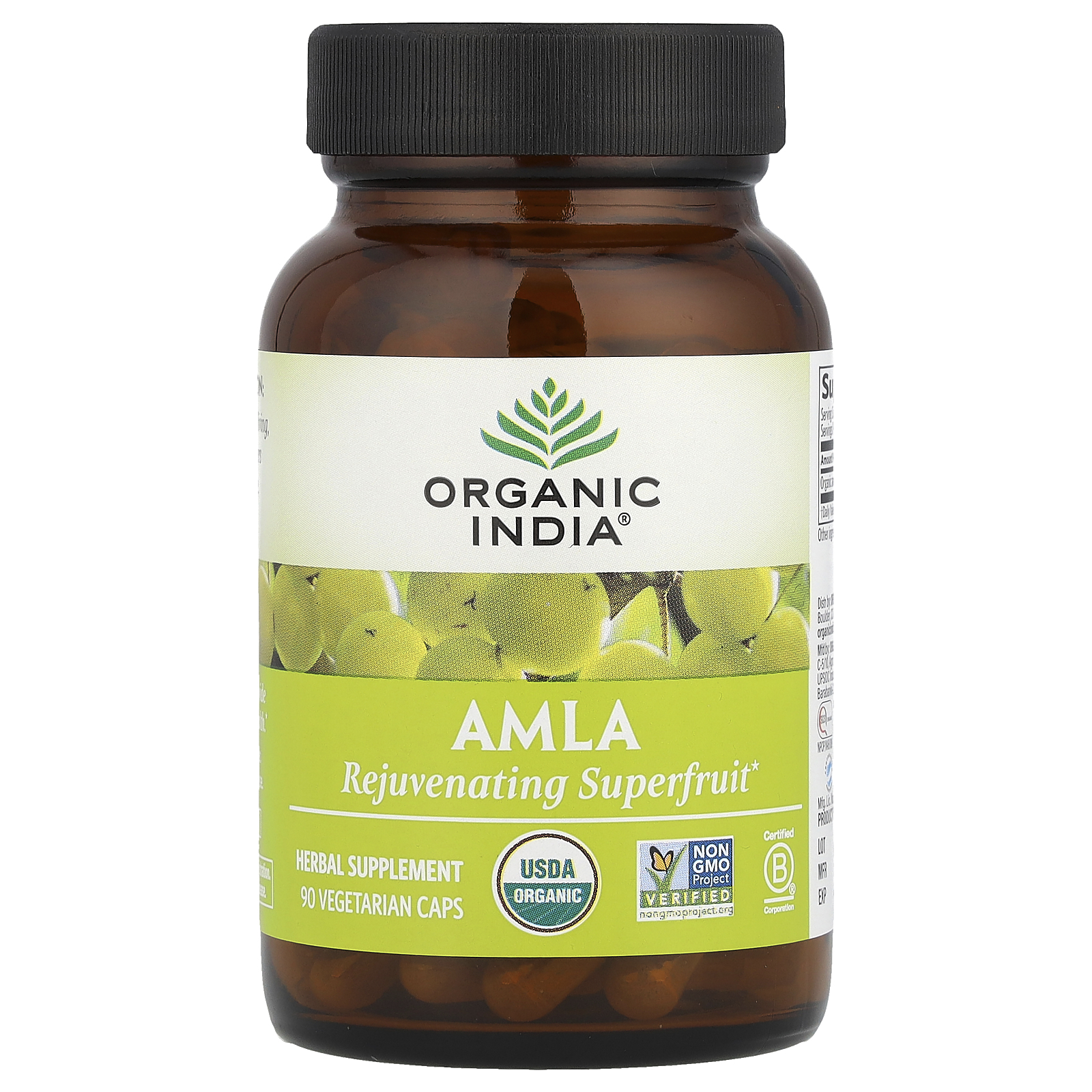 Amla, 90 Vegetarian Caps (500 mg per Capsule)