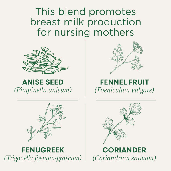 Organic Mother’s Milk®, Original with Fennel & Fenugreek, Caffeine Free, 16 Wrapped Tea Bags, 0.99 oz (28 g)