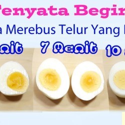 Cara Merebus Rebung Yang Benar untuk Hasil Terbaik Cara Merebus Rebung Yang Benar untuk Hasil Terbaik