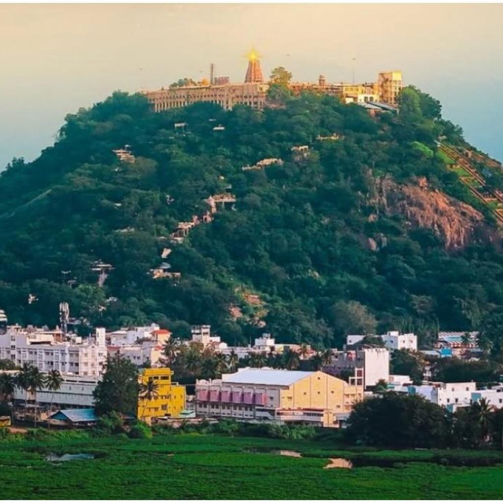 சூரிய கிரகணம்: மார்ச் 29-ல் பழநி முருகன் கோயிலில் பக்தர்களுக்கு அனுமதி சூரிய கிரகணம்: மார்ச் 29-ல் பழநி முருகன் கோயிலில் பக்தர்களுக்கு அனுமதி