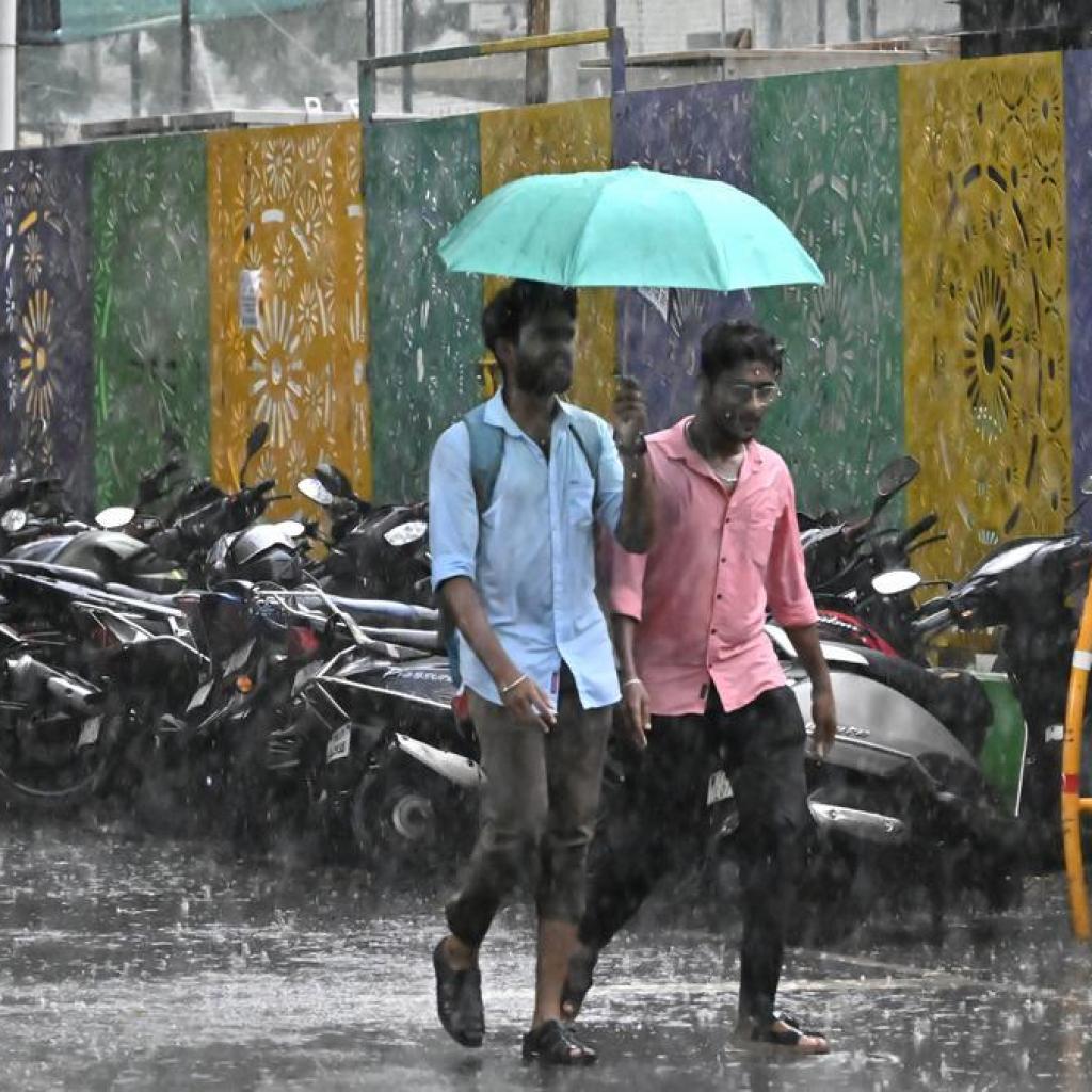 சென்னை, கோவை, நீலகிரி உட்பட 11 மாவட்டங்களில் இன்று கனமழைக்கு வாய்ப்பு சென்னை, கோவை, நீலகிரி உட்பட 11 மாவட்டங்களில் இன்று கனமழைக்கு வாய்ப்பு