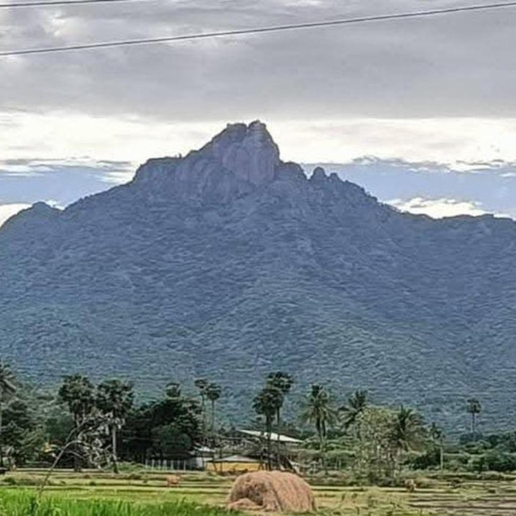 பருவதமலையில் இருந்து கீழே இறங்கியபோது வெள்ளத்தில் சிக்கி உயிரிழந்த 2 பெண்களின் உடல்கள் மீட்பு பருவதமலையில் இருந்து கீழே இறங்கியபோது வெள்ளத்தில் சிக்கி உயிரிழந்த 2 பெண்களின் உடல்கள் மீட்பு