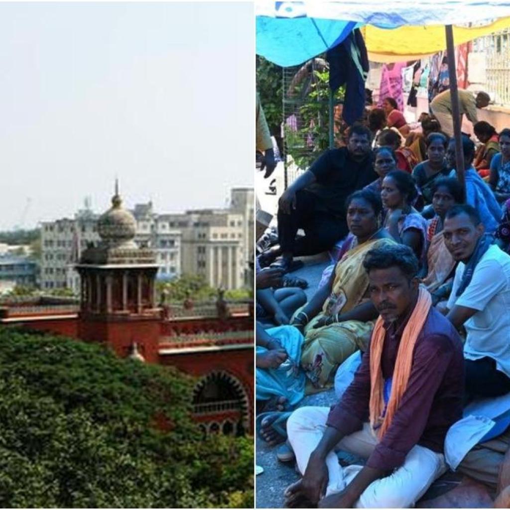 தூய்மை பணியாளர்களுக்கு எதிராக செயல்படுவதுபோல் போலி பிம்பம்: ஐகோர்ட்டில் தமிழக அரசு வாதம் தூய்மை பணியாளர்களுக்கு எதிராக செயல்படுவதுபோல் போலி பிம்பம்: ஐகோர்ட்டில் தமிழக அரசு வாதம்