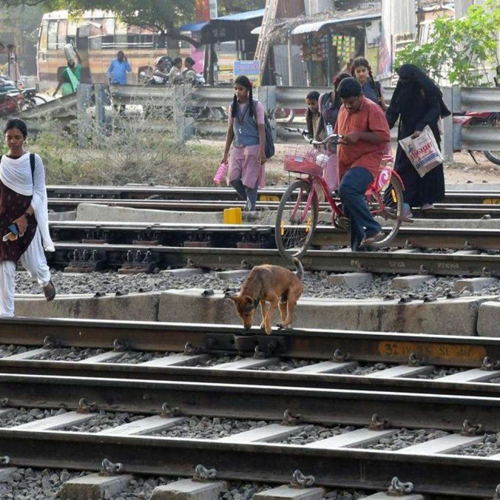 சென்னை கோட்டத்தில் ரயில் தண்டவாளத்தை கடக்க முயற்சி: 8 மாதங்களில் 944 பேர் கைது சென்னை கோட்டத்தில் ரயில் தண்டவாளத்தை கடக்க முயற்சி: 8 மாதங்களில் 944 பேர் கைது