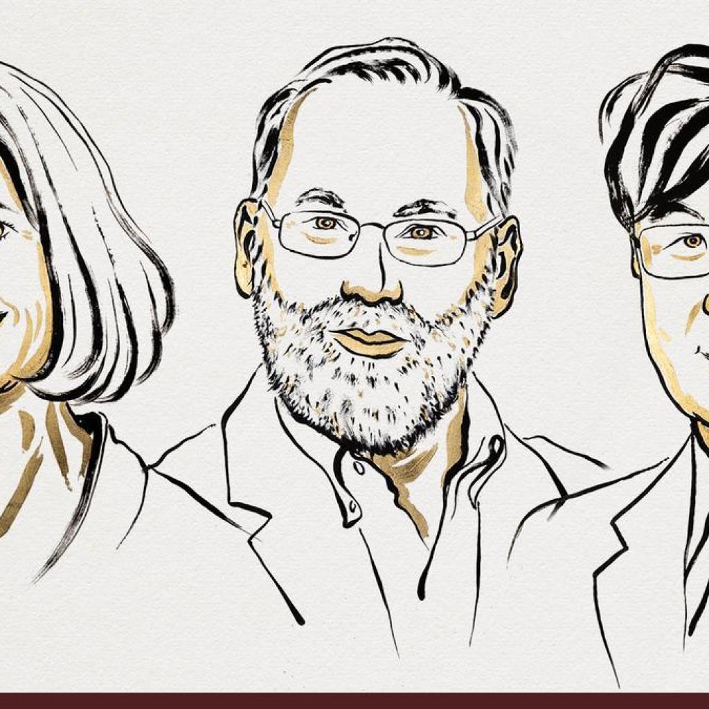 அமெரிக்க, ஜப்பான் விஞ்ஞானிகள் மூவருக்கு மருத்துவ நோபல் பரிசு அறிவிப்பு அமெரிக்க, ஜப்பான் விஞ்ஞானிகள் மூவருக்கு மருத்துவ நோபல் பரிசு அறிவிப்பு