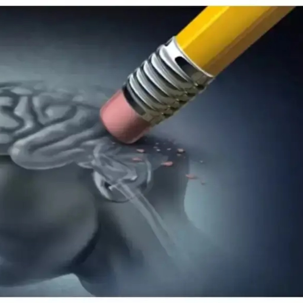 இதைச் செய்வது அல்சைமர் – டைம்ஸ் ஆஃப் இந்தியாவைத் தடுக்கலாம் என்று அமெரிக்க மருத்துவர் கூறுகிறார் இதைச் செய்வது அல்சைமர் – டைம்ஸ் ஆஃப் இந்தியாவைத் தடுக்கலாம் என்று அமெரிக்க மருத்துவர் கூறுகிறார்