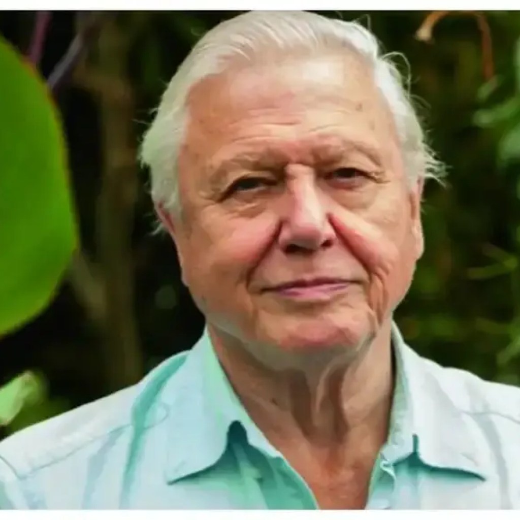 ஒளிபரப்பாளர் டேவிட் அட்டன்பரோ கடந்த மாதம் 99 வயதை எட்டினார். இந்த 5 பழக்கவழக்கங்கள் நீண்ட ஆயுளுக்கு அவருடைய ரகசியம் (அவை பின்பற்றுவது மிகவும் எளிதானது!) | – டைம்ஸ் ஆஃப் இந்தியா ஒளிபரப்பாளர் டேவிட் அட்டன்பரோ கடந்த மாதம் 99 வயதை எட்டினார். இந்த 5 பழக்கவழக்கங்கள் நீண்ட ஆயுளுக்கு அவருடைய ரகசியம் (அவை பின்பற்றுவது மிகவும் எளிதானது!) | – டைம்ஸ் ஆஃப் இந்தியா