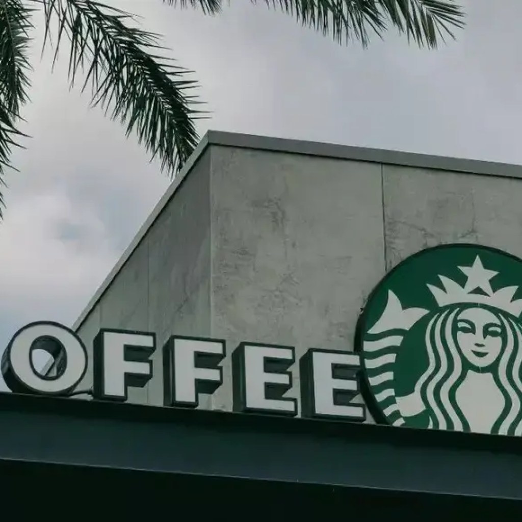 இந்த பிரபலமான காபி சங்கிலி ரூ .3 கோடி வேலையை வழங்குகிறது, ஆனால் அது கவுண்டருக்குப் பின்னால் இல்லை | – டைம்ஸ் ஆஃப் இந்தியா இந்த பிரபலமான காபி சங்கிலி ரூ .3 கோடி வேலையை வழங்குகிறது, ஆனால் அது கவுண்டருக்குப் பின்னால் இல்லை | – டைம்ஸ் ஆஃப் இந்தியா