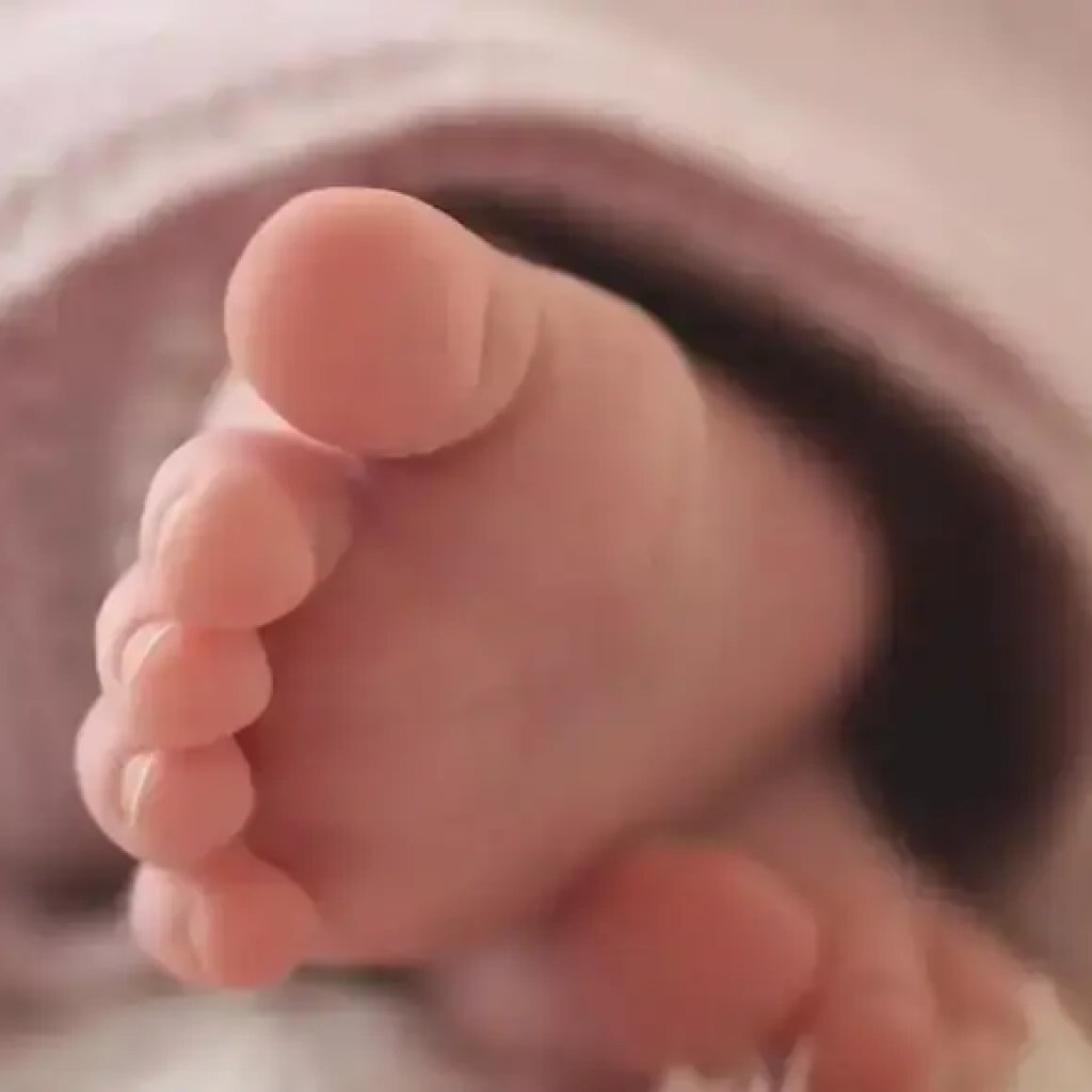 சிங்கப்பூர் எஸ்சிஐடி வழக்கு: இந்தியன்-ஆரிஜின் குழந்தை அரிய கோளாறுகளைத் துடிக்கிறது; ஸ்டெம் -செல் மாற்று அறுவை சிகிச்சை உயிரைக் காப்பாற்றுகிறது – டைம்ஸ் ஆஃப் இந்தியா சிங்கப்பூர் எஸ்சிஐடி வழக்கு: இந்தியன்-ஆரிஜின் குழந்தை அரிய கோளாறுகளைத் துடிக்கிறது; ஸ்டெம் -செல் மாற்று அறுவை சிகிச்சை உயிரைக் காப்பாற்றுகிறது – டைம்ஸ் ஆஃப் இந்தியா