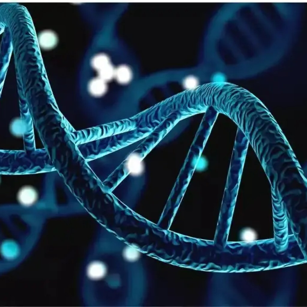 விஞ்ஞானிகள் கூறுகையில், வான்வழி டி.என்.ஏ வனவிலங்குகள், நோய்கள் மற்றும் மருந்துகளைக் கூட கண்டறிகிறது | – தி டைம்ஸ் ஆஃப் இந்தியா விஞ்ஞானிகள் கூறுகையில், வான்வழி டி.என்.ஏ வனவிலங்குகள், நோய்கள் மற்றும் மருந்துகளைக் கூட கண்டறிகிறது | – தி டைம்ஸ் ஆஃப் இந்தியா