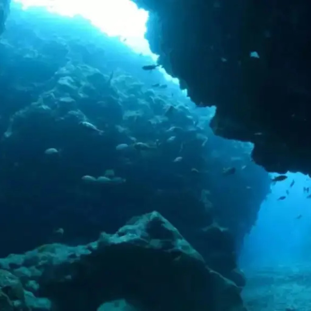 நீருக்கடியில் தீவில் வெளியிடப்பட்ட தனித்துவமான, அரிய பூமி கூறுகள்; எதிர்காலத்திற்கு இதன் பொருள் இங்கே | – தி டைம்ஸ் ஆஃப் இந்தியா நீருக்கடியில் தீவில் வெளியிடப்பட்ட தனித்துவமான, அரிய பூமி கூறுகள்; எதிர்காலத்திற்கு இதன் பொருள் இங்கே | – தி டைம்ஸ் ஆஃப் இந்தியா