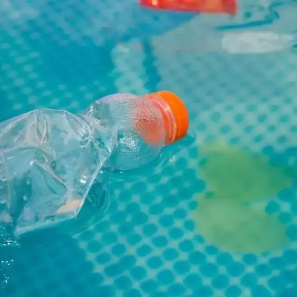 ஜப்பானிய விஞ்ஞானிகள் சில மணி நேரத்திற்குள் தண்ணீரில் கரைக்கும் புதிய பிளாஸ்டிக்கைக் கண்டுபிடிப்பார்கள் | – தி டைம்ஸ் ஆஃப் இந்தியா ஜப்பானிய விஞ்ஞானிகள் சில மணி நேரத்திற்குள் தண்ணீரில் கரைக்கும் புதிய பிளாஸ்டிக்கைக் கண்டுபிடிப்பார்கள் | – தி டைம்ஸ் ஆஃப் இந்தியா