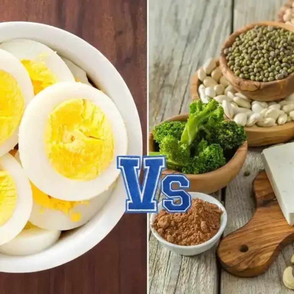 1 முட்டையை விட அதிக புரதத்தைக் கொண்ட 20 சைவ உணவுகள் – இந்தியாவின் நேரங்கள் 1 முட்டையை விட அதிக புரதத்தைக் கொண்ட 20 சைவ உணவுகள் – இந்தியாவின் நேரங்கள்