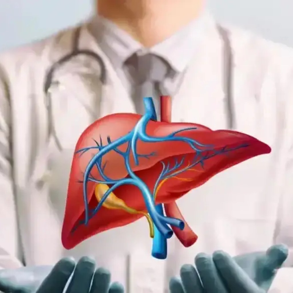 கல்லீரல் ஆரோக்கியத்தை அதிகரிக்கும் 5 மூலிகைகள் | – டைம்ஸ் ஆஃப் இந்தியா கல்லீரல் ஆரோக்கியத்தை அதிகரிக்கும் 5 மூலிகைகள் | – டைம்ஸ் ஆஃப் இந்தியா