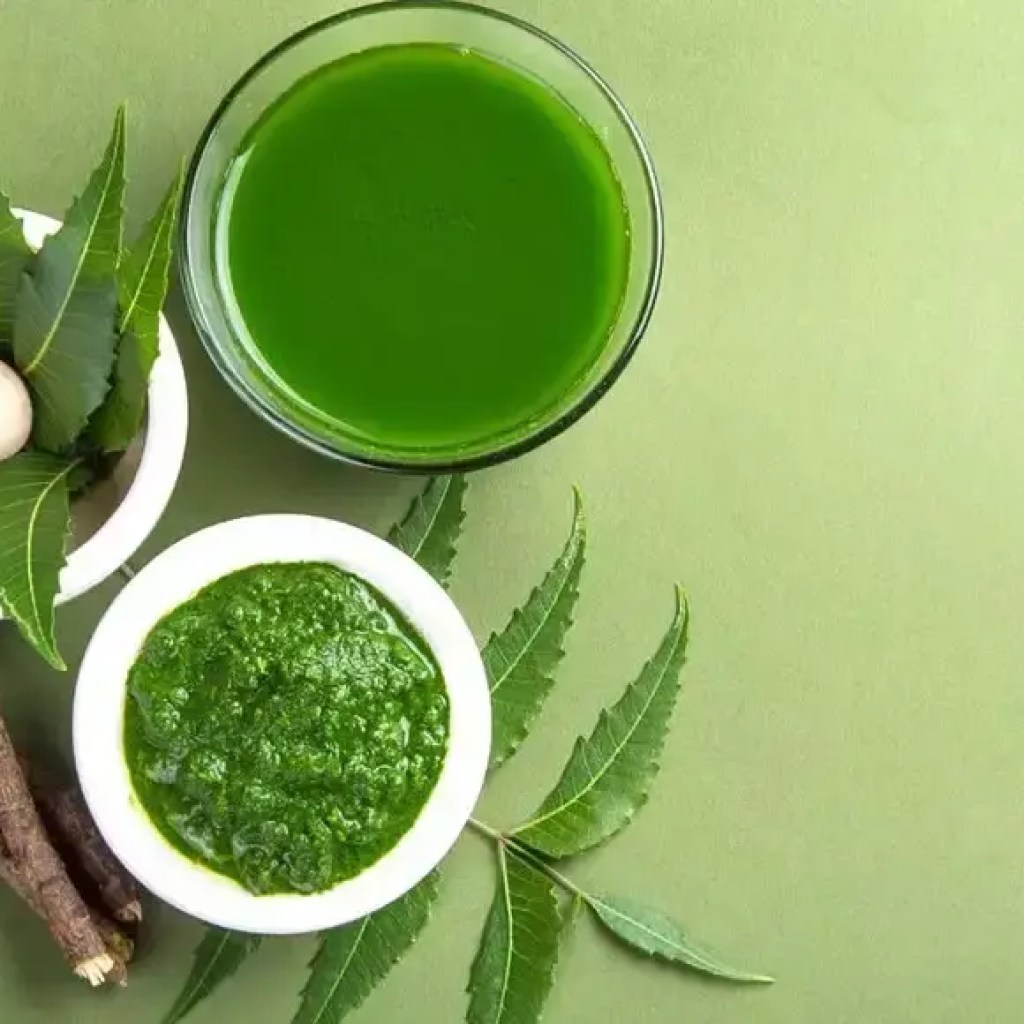 ஆரோக்கியமான மற்றும் ஒளிரும் சருமத்திற்கு வேப்பத்தின் 8 நன்மைகள் | – டைம்ஸ் ஆஃப் இந்தியா ஆரோக்கியமான மற்றும் ஒளிரும் சருமத்திற்கு வேப்பத்தின் 8 நன்மைகள் | – டைம்ஸ் ஆஃப் இந்தியா