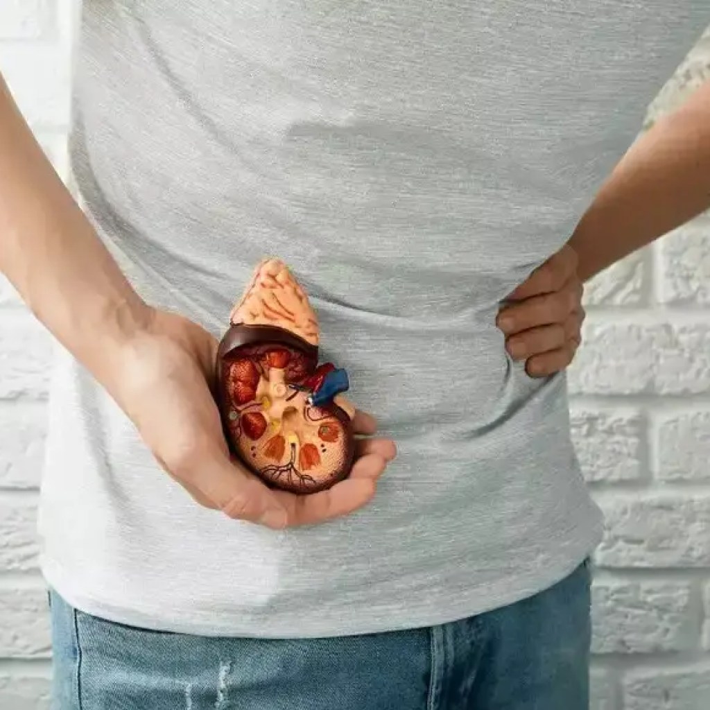 சிறுநீரக கல் எச்சரிக்கை: சிறுநீரக கற்களைத் தூண்டக்கூடிய 10 உணவுகள் மற்றும் அவற்றைத் தடுக்க உதவும் 10 உணவுகள் | – டைம்ஸ் ஆஃப் இந்தியா சிறுநீரக கல் எச்சரிக்கை: சிறுநீரக கற்களைத் தூண்டக்கூடிய 10 உணவுகள் மற்றும் அவற்றைத் தடுக்க உதவும் 10 உணவுகள் | – டைம்ஸ் ஆஃப் இந்தியா