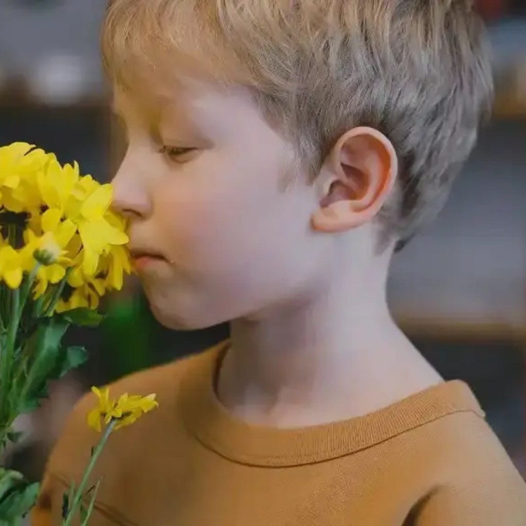 உங்கள் மரபணுக்கள் ஏன் கொத்தமல்லத்தை வெறுக்கின்றன: புதிய ஆய்வு டி.என்.ஏ மற்றும் வாசனை விருப்பத்தேர்வுகள் எவ்வாறு இணைக்கப்பட்டுள்ளன என்பதை விளக்குகிறது | – தி டைம்ஸ் ஆஃப் இந்தியா உங்கள் மரபணுக்கள் ஏன் கொத்தமல்லத்தை வெறுக்கின்றன: புதிய ஆய்வு டி.என்.ஏ மற்றும் வாசனை விருப்பத்தேர்வுகள் எவ்வாறு இணைக்கப்பட்டுள்ளன என்பதை விளக்குகிறது | – தி டைம்ஸ் ஆஃப் இந்தியா