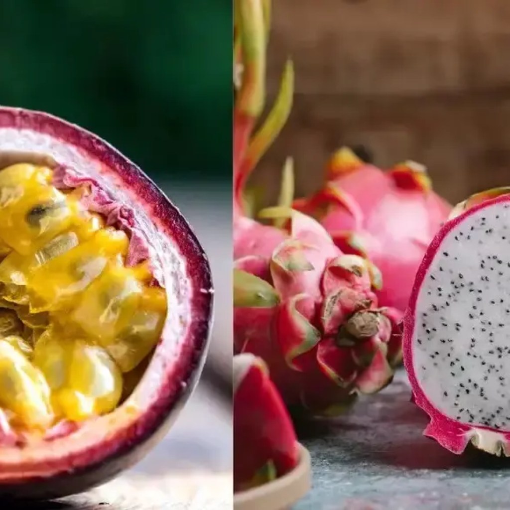 டிராகன் பழம் Vs பேஷன் பழம்: எது ஆரோக்கியமானது மற்றும் உங்களுக்கு சிறந்தது? | – டைம்ஸ் ஆஃப் இந்தியா டிராகன் பழம் Vs பேஷன் பழம்: எது ஆரோக்கியமானது மற்றும் உங்களுக்கு சிறந்தது? | – டைம்ஸ் ஆஃப் இந்தியா