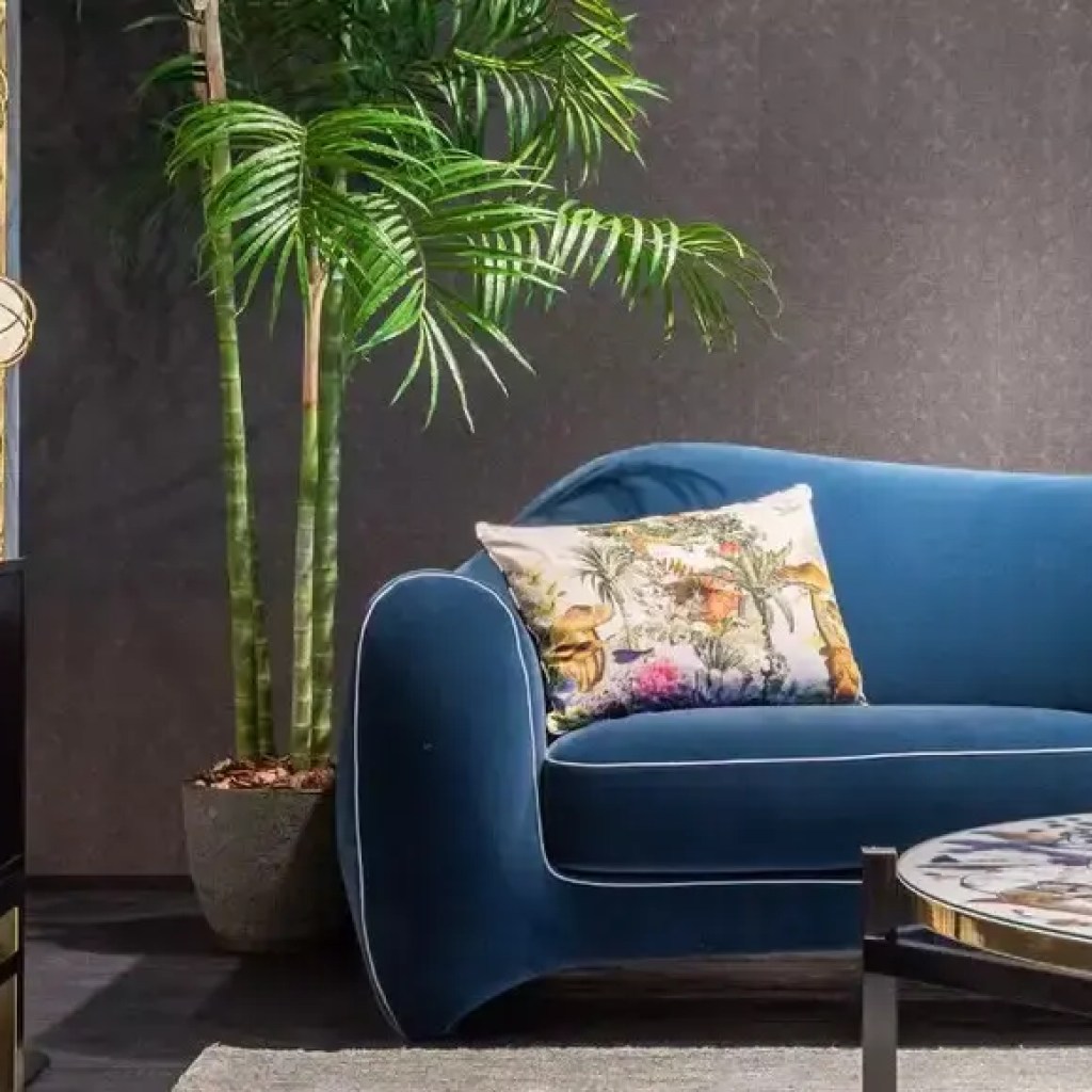 ஜன்னல் இல்லாத அறைகள் மற்றும் இருண்ட மூலைகளுக்கு 9 சிறந்த உட்புற தாவரங்கள் | – டைம்ஸ் ஆஃப் இந்தியா ஜன்னல் இல்லாத அறைகள் மற்றும் இருண்ட மூலைகளுக்கு 9 சிறந்த உட்புற தாவரங்கள் | – டைம்ஸ் ஆஃப் இந்தியா