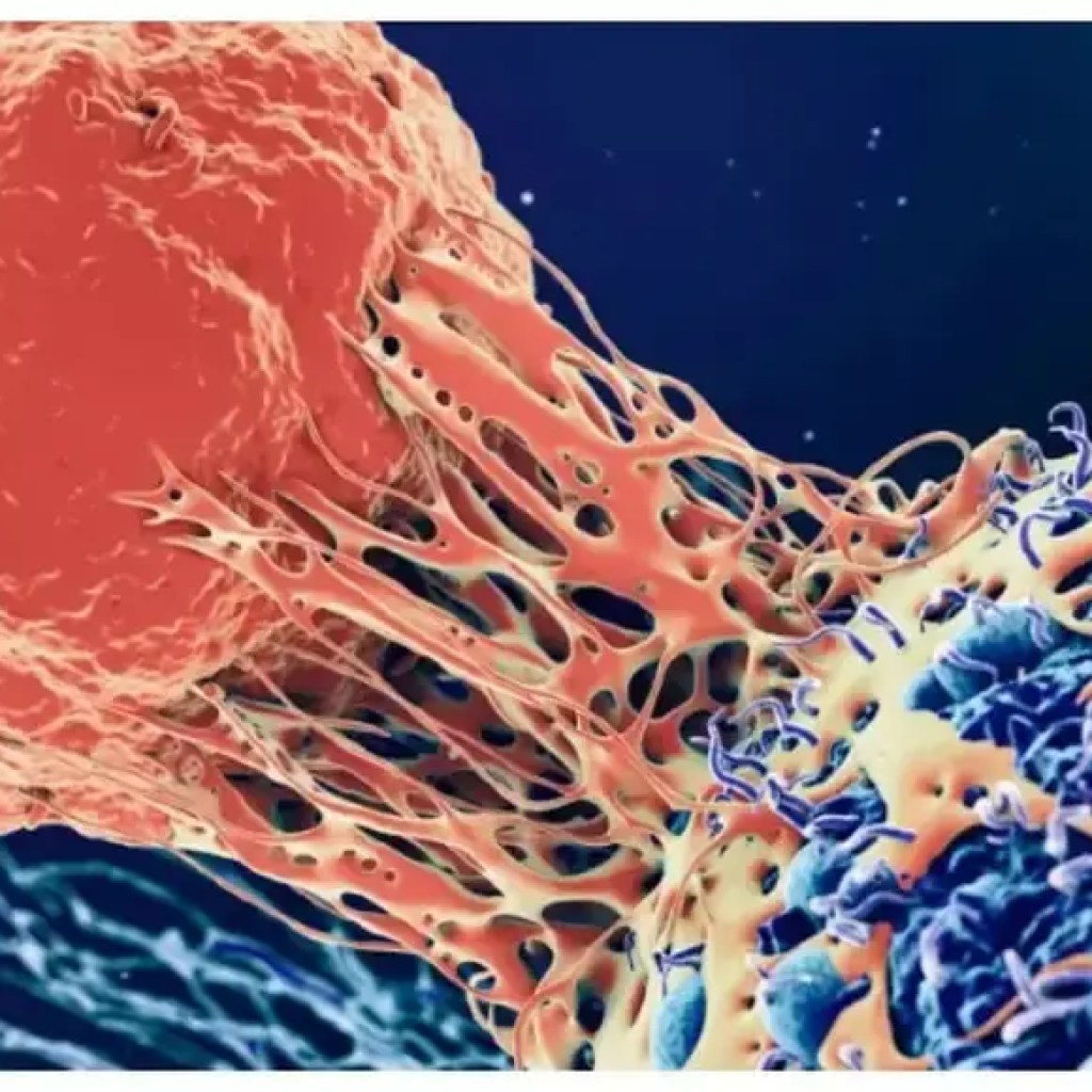 இந்த வைரஸ் தொற்று புற்றுநோயை ஏற்படுத்தும்: பாதுகாப்பாக இருப்பது எப்படி – இந்தியாவின் நேரங்கள் இந்த வைரஸ் தொற்று புற்றுநோயை ஏற்படுத்தும்: பாதுகாப்பாக இருப்பது எப்படி – இந்தியாவின் நேரங்கள்