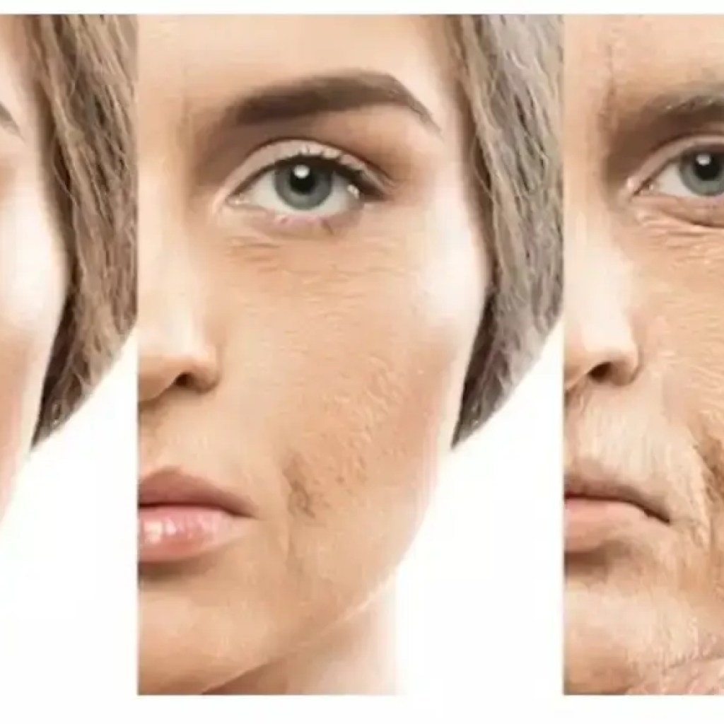 ஆயுர்வேத நேரம் அந்த வயது வேகமாக – மற்றும் இந்த நேரத்தில் ஒருவர் ஏன் விழித்திருக்கக்கூடாது – இந்தியாவின் நேரங்கள் ஆயுர்வேத நேரம் அந்த வயது வேகமாக – மற்றும் இந்த நேரத்தில் ஒருவர் ஏன் விழித்திருக்கக்கூடாது – இந்தியாவின் நேரங்கள்