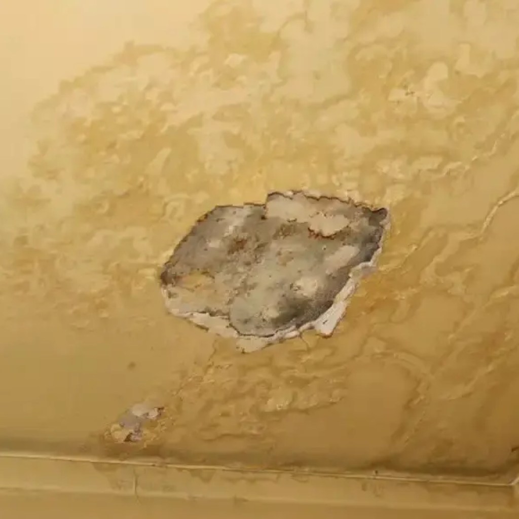 8 அமைதியான எச்சரிக்கை அறிகுறிகள் உங்கள் வீட்டிற்கு சேதம் ஏற்படும் அபாயம் உள்ளது | – டைம்ஸ் ஆஃப் இந்தியா 8 அமைதியான எச்சரிக்கை அறிகுறிகள் உங்கள் வீட்டிற்கு சேதம் ஏற்படும் அபாயம் உள்ளது | – டைம்ஸ் ஆஃப் இந்தியா