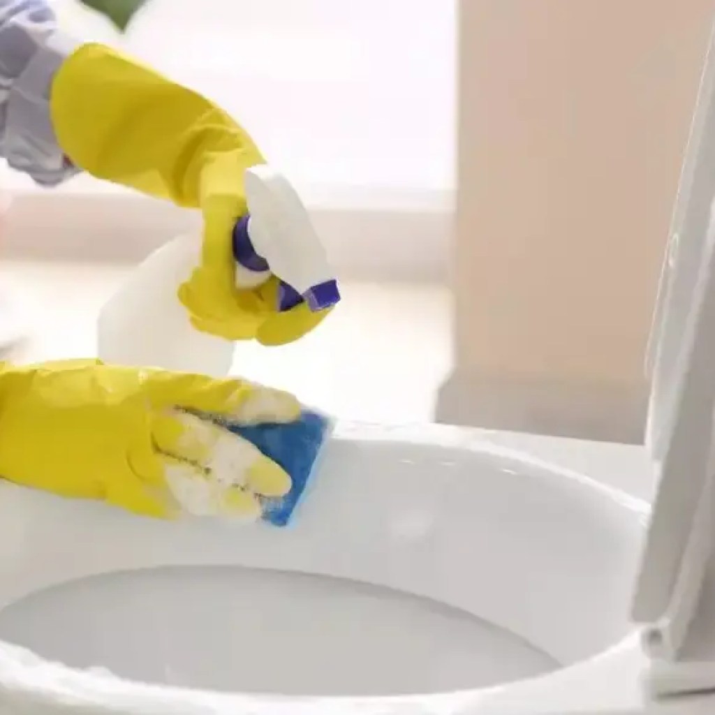 ஒரு கழிப்பறை காகித ரோல் மற்றும் வினிகர் கொண்ட எளிய மற்றும் பயனுள்ள கழிப்பறை சுத்தம் ஹேக் | – டைம்ஸ் ஆஃப் இந்தியா ஒரு கழிப்பறை காகித ரோல் மற்றும் வினிகர் கொண்ட எளிய மற்றும் பயனுள்ள கழிப்பறை சுத்தம் ஹேக் | – டைம்ஸ் ஆஃப் இந்தியா