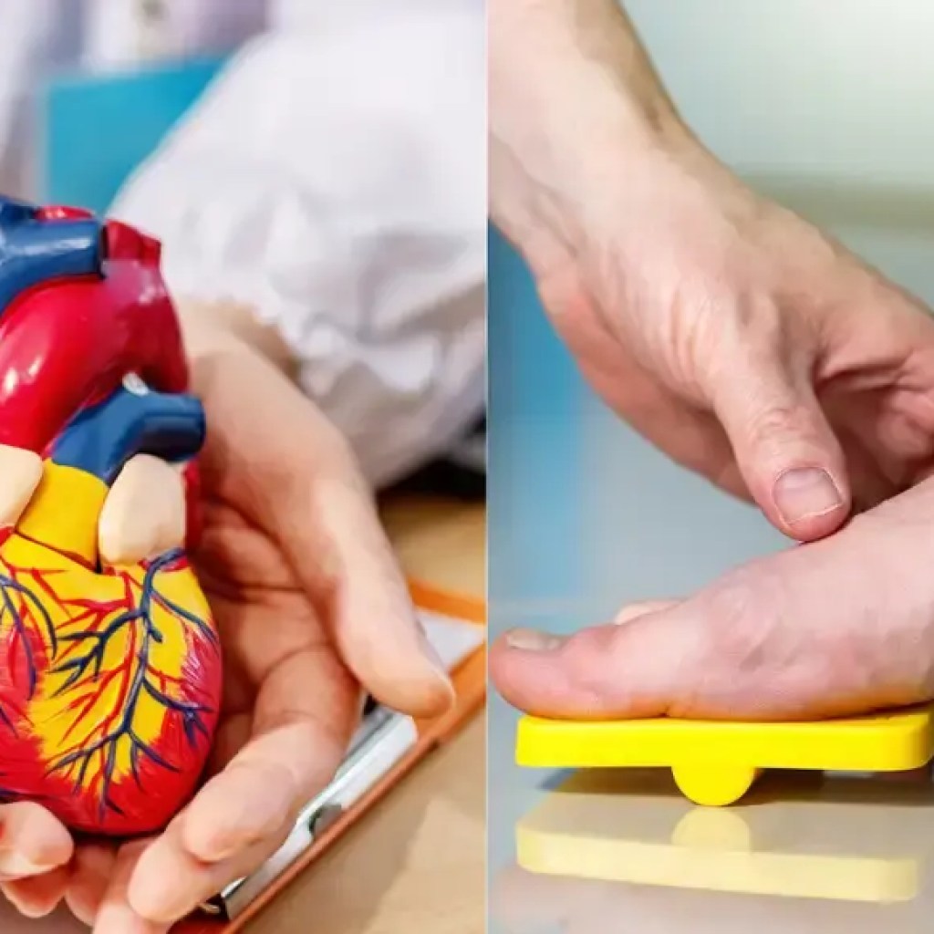 இதய செயலிழப்பு எச்சரிக்கை: நீங்கள் ஆபத்தில் இருக்கிறீர்களா என்பதை அறிய இந்த விரைவான 5-வினாடி கால் சோதனையை முயற்சிக்கவும் | – தி டைம்ஸ் ஆஃப் இந்தியா இதய செயலிழப்பு எச்சரிக்கை: நீங்கள் ஆபத்தில் இருக்கிறீர்களா என்பதை அறிய இந்த விரைவான 5-வினாடி கால் சோதனையை முயற்சிக்கவும் | – தி டைம்ஸ் ஆஃப் இந்தியா