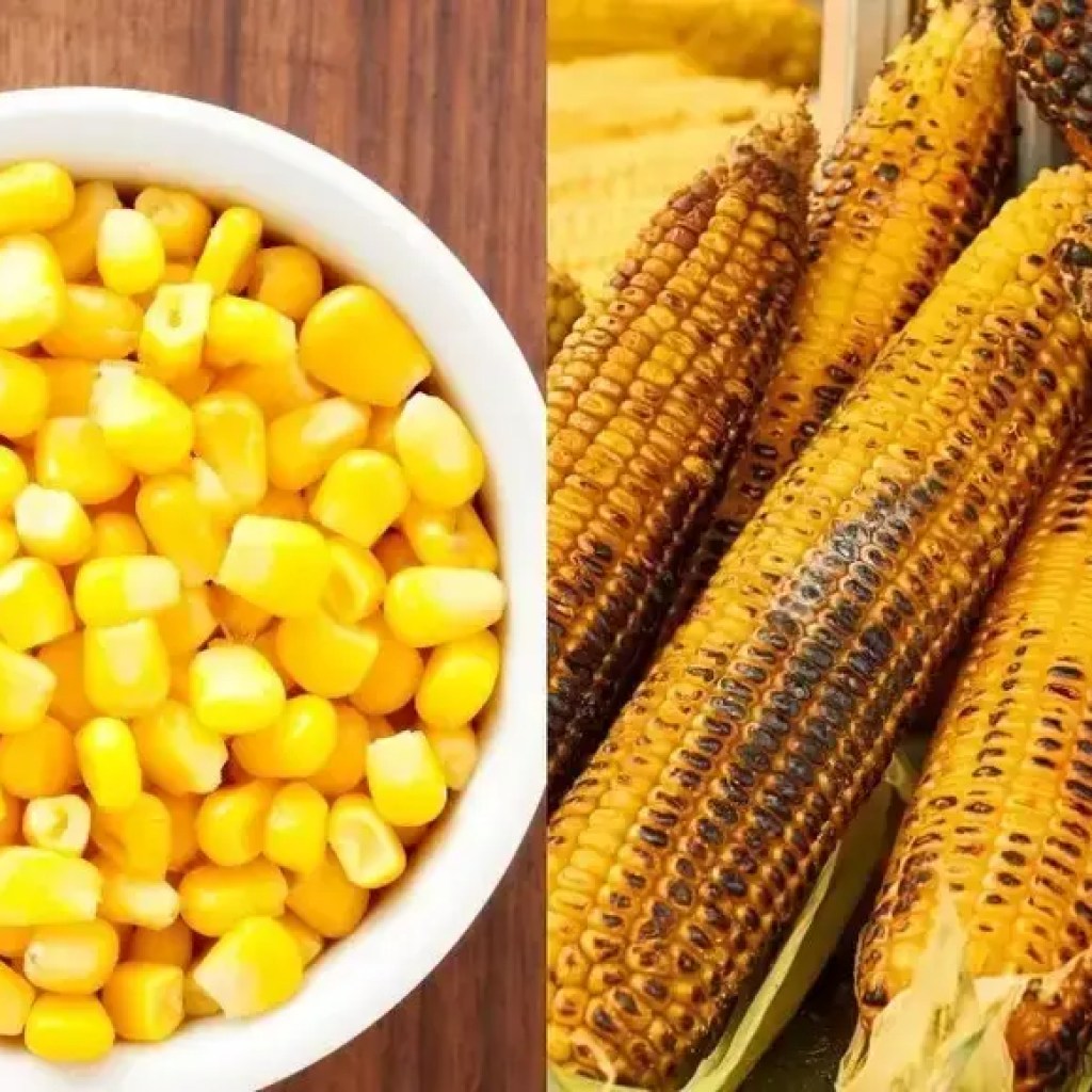 இனிப்பு சோளம் வெர்சஸ் தேசி பூட்டா: இது எடை கட்டுப்பாடு மற்றும் இரத்த சர்க்கரைக்கு சிறந்தது | – தி டைம்ஸ் ஆஃப் இந்தியா இனிப்பு சோளம் வெர்சஸ் தேசி பூட்டா: இது எடை கட்டுப்பாடு மற்றும் இரத்த சர்க்கரைக்கு சிறந்தது | – தி டைம்ஸ் ஆஃப் இந்தியா