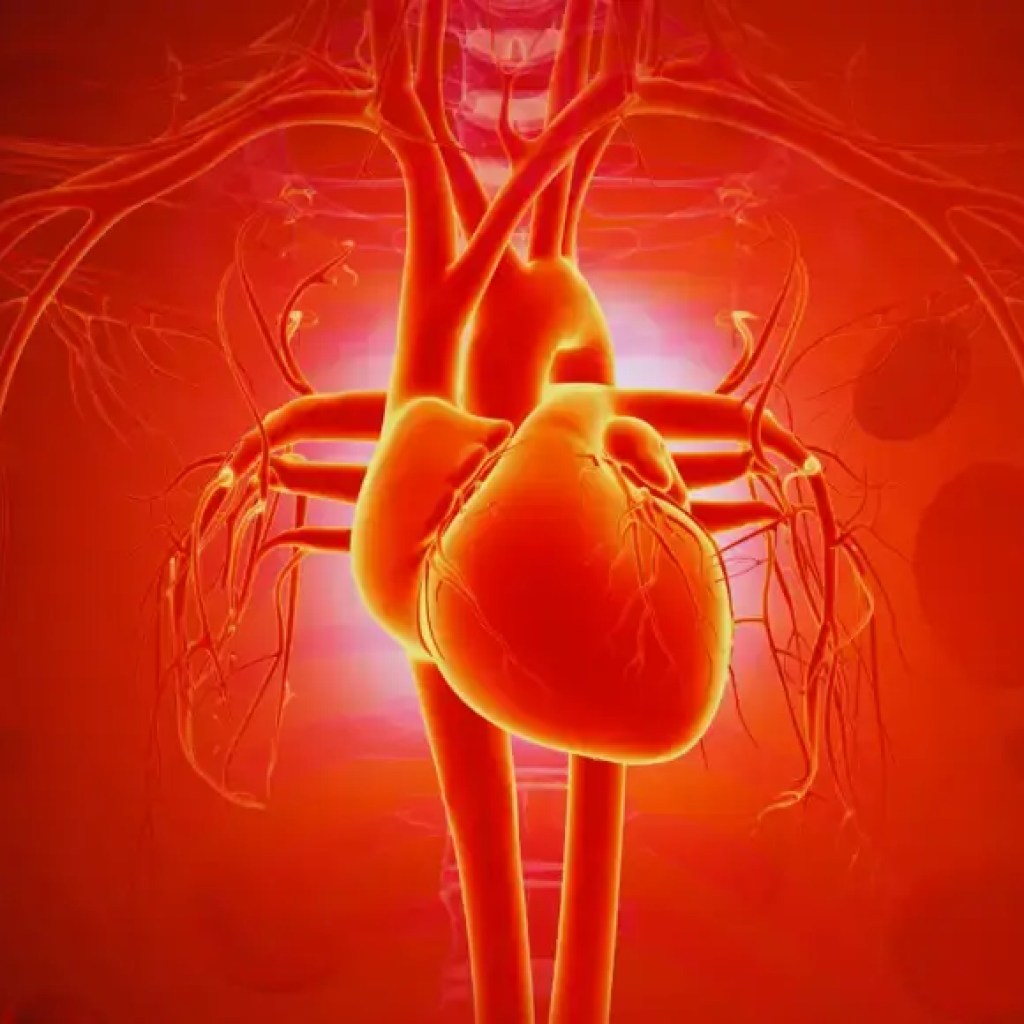 சிவப்பு இறைச்சி அல்ல, வெண்ணெய் அல்ல: இந்த 5 அன்றாட பழக்கவழக்கங்கள் மாரடைப்பு ஏற்படக்கூடும் – தி டைம்ஸ் ஆஃப் இந்தியா சிவப்பு இறைச்சி அல்ல, வெண்ணெய் அல்ல: இந்த 5 அன்றாட பழக்கவழக்கங்கள் மாரடைப்பு ஏற்படக்கூடும் – தி டைம்ஸ் ஆஃப் இந்தியா