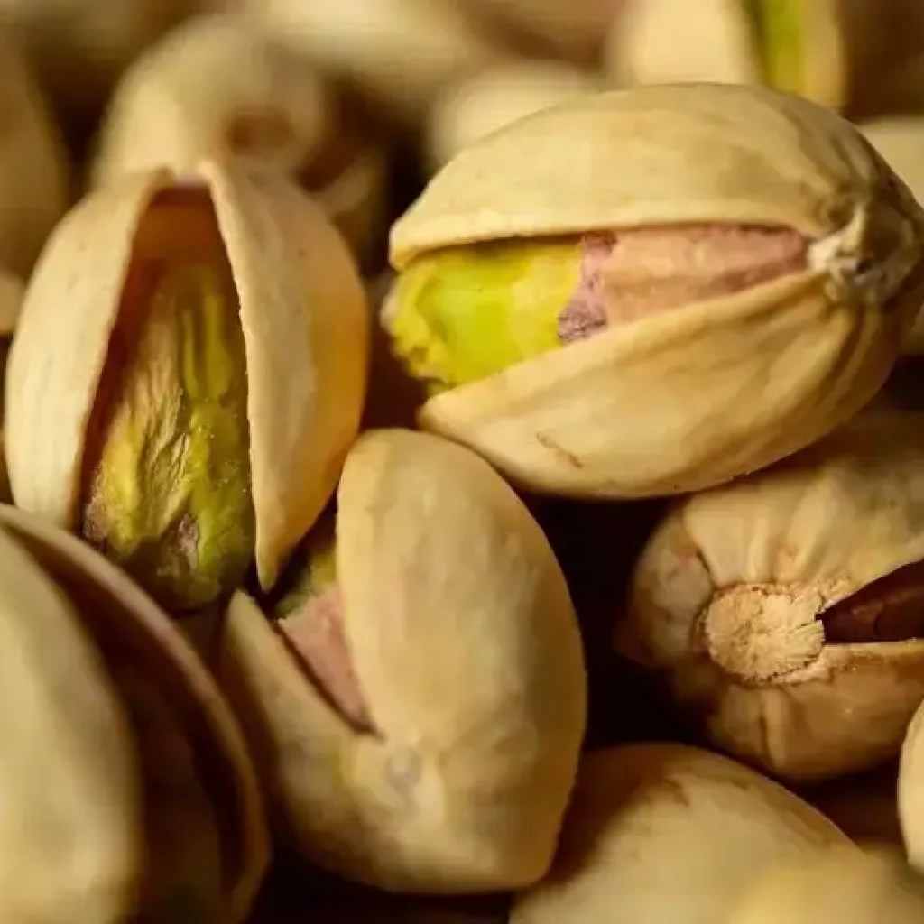 தினமும் பிஸ்தா சாப்பிடுவதன் மூலம் உங்கள் இரத்த அழுத்தத்தை இயற்கையாகவே குறைக்கவும்: படிப்பு | – தி டைம்ஸ் ஆஃப் இந்தியா தினமும் பிஸ்தா சாப்பிடுவதன் மூலம் உங்கள் இரத்த அழுத்தத்தை இயற்கையாகவே குறைக்கவும்: படிப்பு | – தி டைம்ஸ் ஆஃப் இந்தியா