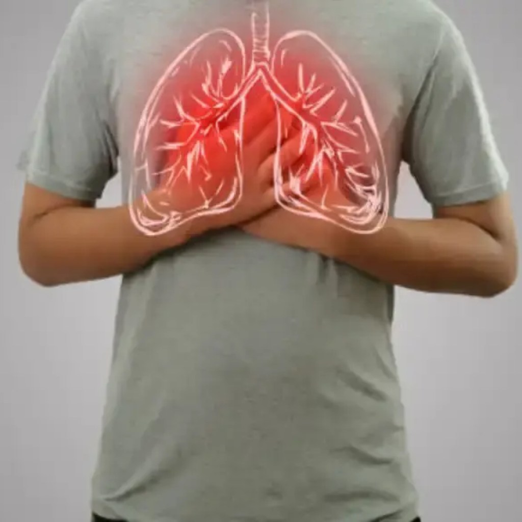 உலக நுரையீரல் நாள் 2025: சிறந்த நுரையீரல் நிபுணர்கள் உங்கள் நுரையீரலை ஆரோக்கியமாக வைத்திருக்க உதவிக்குறிப்புகளைப் பகிர்ந்து கொள்கிறார்கள் – டைம்ஸ் ஆஃப் இந்தியா உலக நுரையீரல் நாள் 2025: சிறந்த நுரையீரல் நிபுணர்கள் உங்கள் நுரையீரலை ஆரோக்கியமாக வைத்திருக்க உதவிக்குறிப்புகளைப் பகிர்ந்து கொள்கிறார்கள் – டைம்ஸ் ஆஃப் இந்தியா