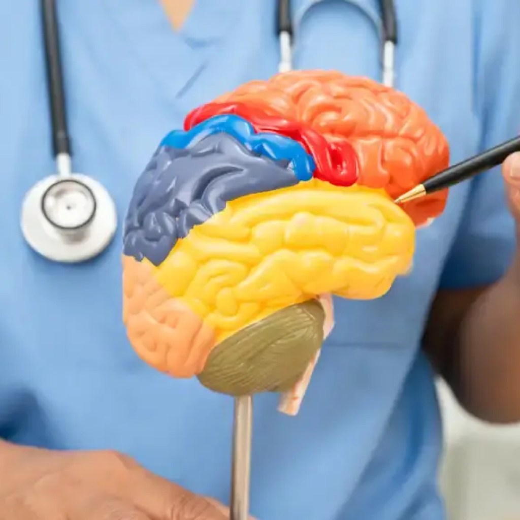 மூளை ஆரோக்கியத்தை அதிகரிக்கும்: இந்த 3 வாழ்க்கை முறை பழக்கவழக்கங்களுடன் மனம் எப்படி இருக்கிறது என்பது எந்த வயதிலும் நினைவகத்தை கூர்மைப்படுத்தும் – இந்தியாவின் டைம்ஸ் ஆஃப் இந்தியா மூளை ஆரோக்கியத்தை அதிகரிக்கும்: இந்த 3 வாழ்க்கை முறை பழக்கவழக்கங்களுடன் மனம் எப்படி இருக்கிறது என்பது எந்த வயதிலும் நினைவகத்தை கூர்மைப்படுத்தும் – இந்தியாவின் டைம்ஸ் ஆஃப் இந்தியா