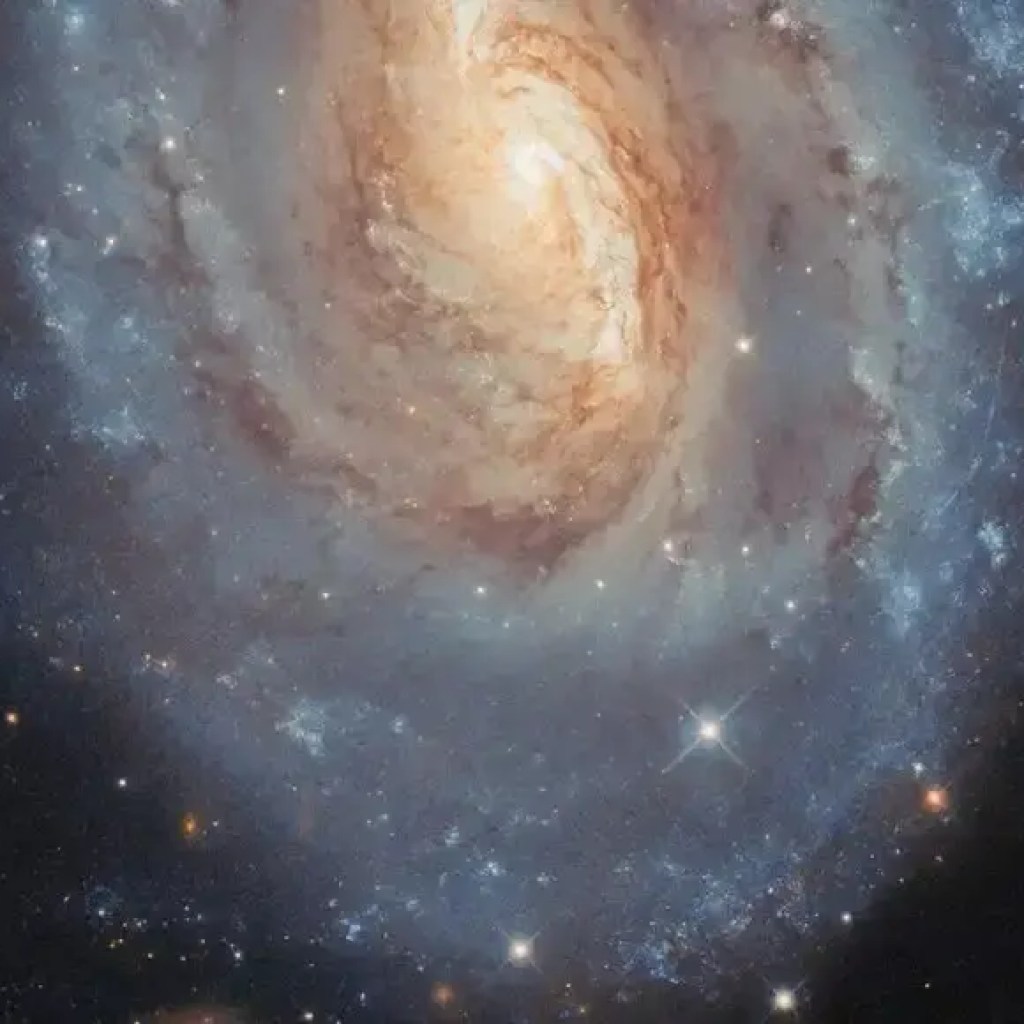 என்ஜிசி 6000: ஹப்பிள் தொலைநோக்கி மஞ்சள் மற்றும் நீல நிறத்தில் அதிர்ச்சியூட்டும் சுழல் விண்மீனைப் பிடிக்கிறது | – தி டைம்ஸ் ஆஃப் இந்தியா என்ஜிசி 6000: ஹப்பிள் தொலைநோக்கி மஞ்சள் மற்றும் நீல நிறத்தில் அதிர்ச்சியூட்டும் சுழல் விண்மீனைப் பிடிக்கிறது | – தி டைம்ஸ் ஆஃப் இந்தியா