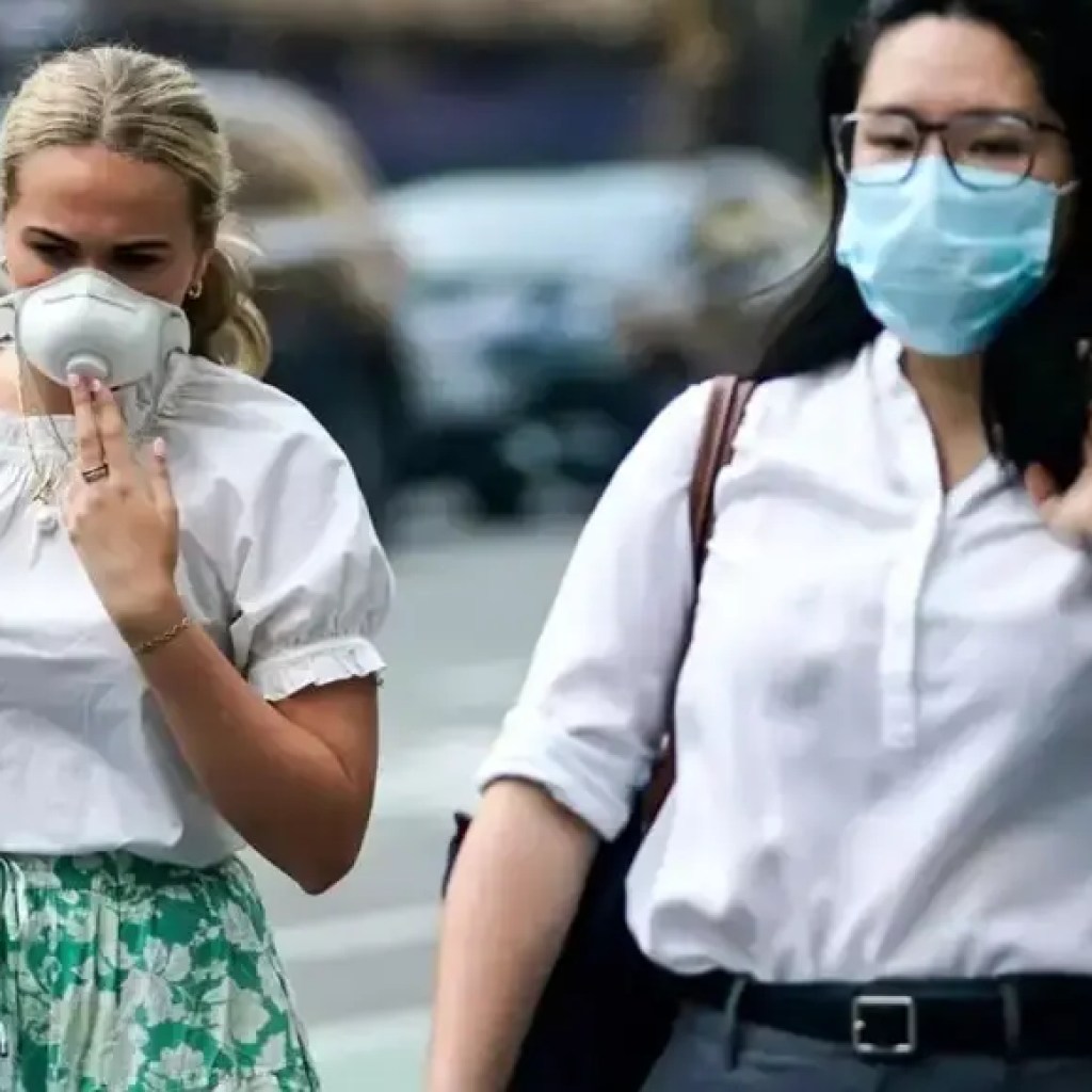 புதிய வகைகள் ‘நிம்பஸ்’ மற்றும் ‘ஸ்ட்ராடஸ்’ ஆகியவற்றுடன் கோவிட் வழக்குகள் உயர்ந்து கொண்டிருக்கின்றன: நாம் கவலைப்பட வேண்டுமா? – தி டைம்ஸ் ஆஃப் இந்தியா புதிய வகைகள் ‘நிம்பஸ்’ மற்றும் ‘ஸ்ட்ராடஸ்’ ஆகியவற்றுடன் கோவிட் வழக்குகள் உயர்ந்து கொண்டிருக்கின்றன: நாம் கவலைப்பட வேண்டுமா? – தி டைம்ஸ் ஆஃப் இந்தியா