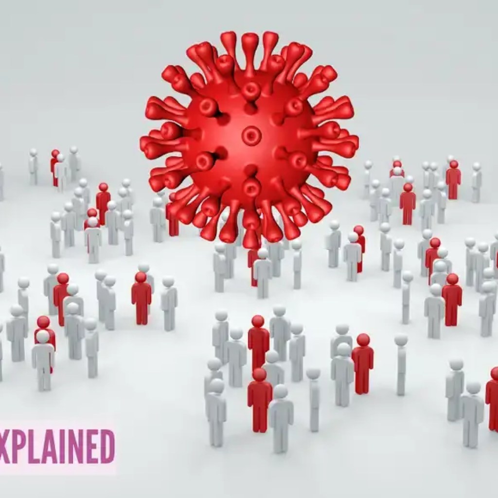 H3N2 இன்ஃப்ளூயன்ஸா விளக்கப்பட்டது: காரணங்கள், அறிகுறிகள், அபாயங்கள் மற்றும் ஏன் இந்த காய்ச்சல் திரிபு கடுமையாக தாக்குகிறது – தி டைம்ஸ் ஆஃப் இந்தியா H3N2 இன்ஃப்ளூயன்ஸா விளக்கப்பட்டது: காரணங்கள், அறிகுறிகள், அபாயங்கள் மற்றும் ஏன் இந்த காய்ச்சல் திரிபு கடுமையாக தாக்குகிறது – தி டைம்ஸ் ஆஃப் இந்தியா