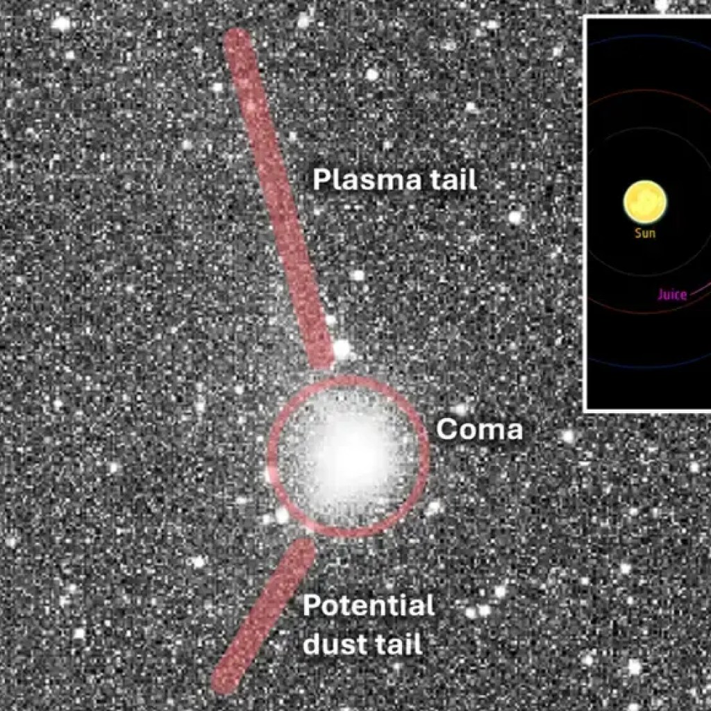 ஹார்வர்ட் பேராசிரியர் 3I/ATLAS ஒரு ‘இதயத் துடிப்பு’ போன்ற துடிப்பை வெளியிடுவதாகக் கூறுகிறார், இது அன்னிய தொழில்நுட்பத்தைக் குறிக்கும் | – டைம்ஸ் ஆஃப் இந்தியா ஹார்வர்ட் பேராசிரியர் 3I/ATLAS ஒரு ‘இதயத் துடிப்பு’ போன்ற துடிப்பை வெளியிடுவதாகக் கூறுகிறார், இது அன்னிய தொழில்நுட்பத்தைக் குறிக்கும் | – டைம்ஸ் ஆஃப் இந்தியா