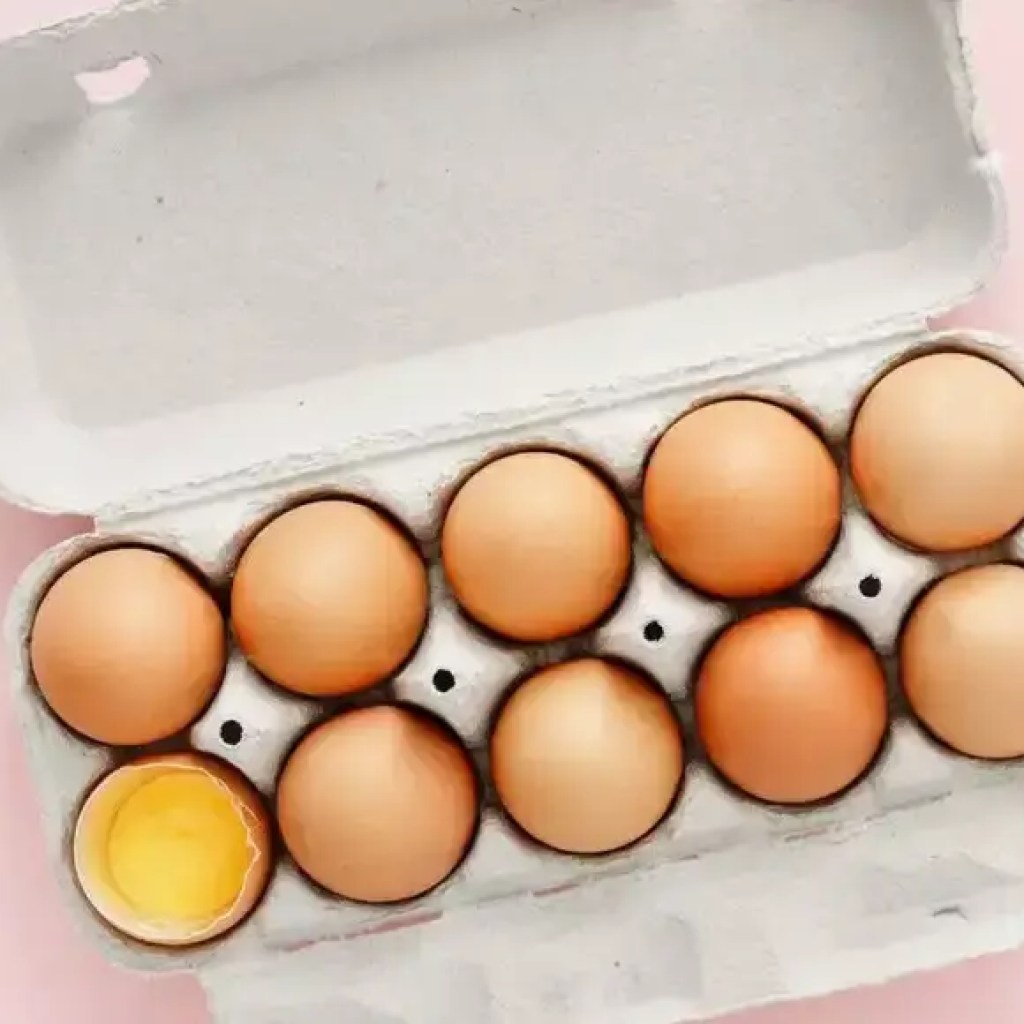 சமைப்பதற்கு முன் முட்டைகள் புதியதா மற்றும் பாதுகாப்பானதா என சோதிக்க 7 எளிய வழிகள் | – டைம்ஸ் ஆஃப் இந்தியா சமைப்பதற்கு முன் முட்டைகள் புதியதா மற்றும் பாதுகாப்பானதா என சோதிக்க 7 எளிய வழிகள் | – டைம்ஸ் ஆஃப் இந்தியா