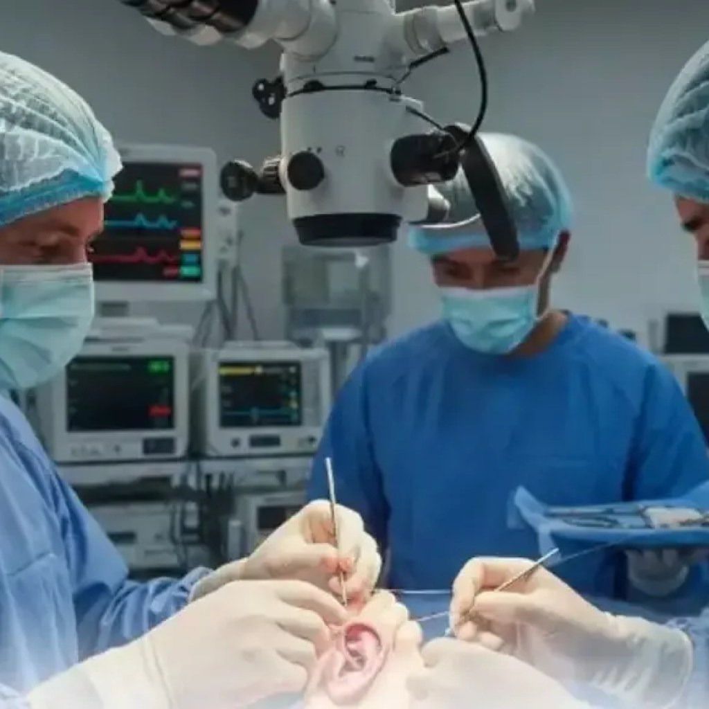 காலில் இருந்து தலை வரை: துண்டிக்கப்பட்ட காதை எப்படி சீன மருத்துவர்கள் உயிருடன் வைத்திருந்தார்கள்; மாதங்கள் கழித்து அதை மீண்டும் இணைத்தது – தி டைம்ஸ் ஆஃப் இந்தியா காலில் இருந்து தலை வரை: துண்டிக்கப்பட்ட காதை எப்படி சீன மருத்துவர்கள் உயிருடன் வைத்திருந்தார்கள்; மாதங்கள் கழித்து அதை மீண்டும் இணைத்தது – தி டைம்ஸ் ஆஃப் இந்தியா