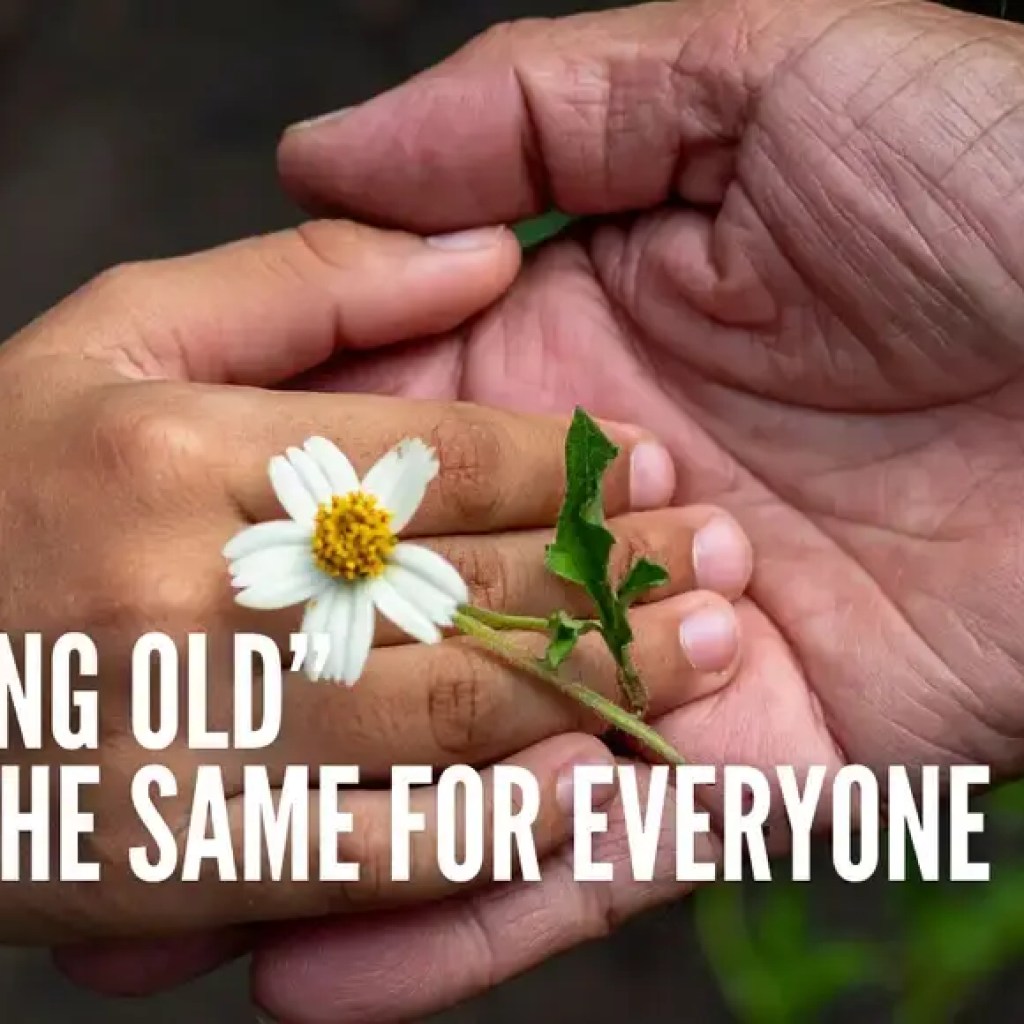 “பொறுமை என்பது முதலில் செல்ல வேண்டிய ஒன்று…”: இந்த பழைய சமூக ஊடக இடுகையில் ‘வயதாகிவிடுவது’ பற்றிய சில சுவாரஸ்யமான நுண்ணறிவுகள் உள்ளன | – டைம்ஸ் ஆஃப் இந்தியா “பொறுமை என்பது முதலில் செல்ல வேண்டிய ஒன்று…”: இந்த பழைய சமூக ஊடக இடுகையில் ‘வயதாகிவிடுவது’ பற்றிய சில சுவாரஸ்யமான நுண்ணறிவுகள் உள்ளன | – டைம்ஸ் ஆஃப் இந்தியா