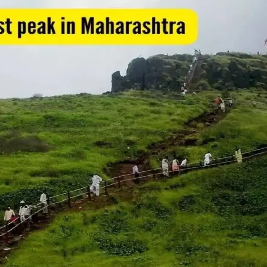 நேர்மையான விமர்சனம்: மகாராஷ்டிராவின் மிக உயரமான சிகரமான கல்சுபாய்க்குச் சென்றபோது, காணாமல் போன பெண்ணின் புராணக்கதை எனக்குத் தெரியாது. | – டைம்ஸ் ஆஃப் இந்தியா நேர்மையான விமர்சனம்: மகாராஷ்டிராவின் மிக உயரமான சிகரமான கல்சுபாய்க்குச் சென்றபோது, காணாமல் போன பெண்ணின் புராணக்கதை எனக்குத் தெரியாது. | – டைம்ஸ் ஆஃப் இந்தியா